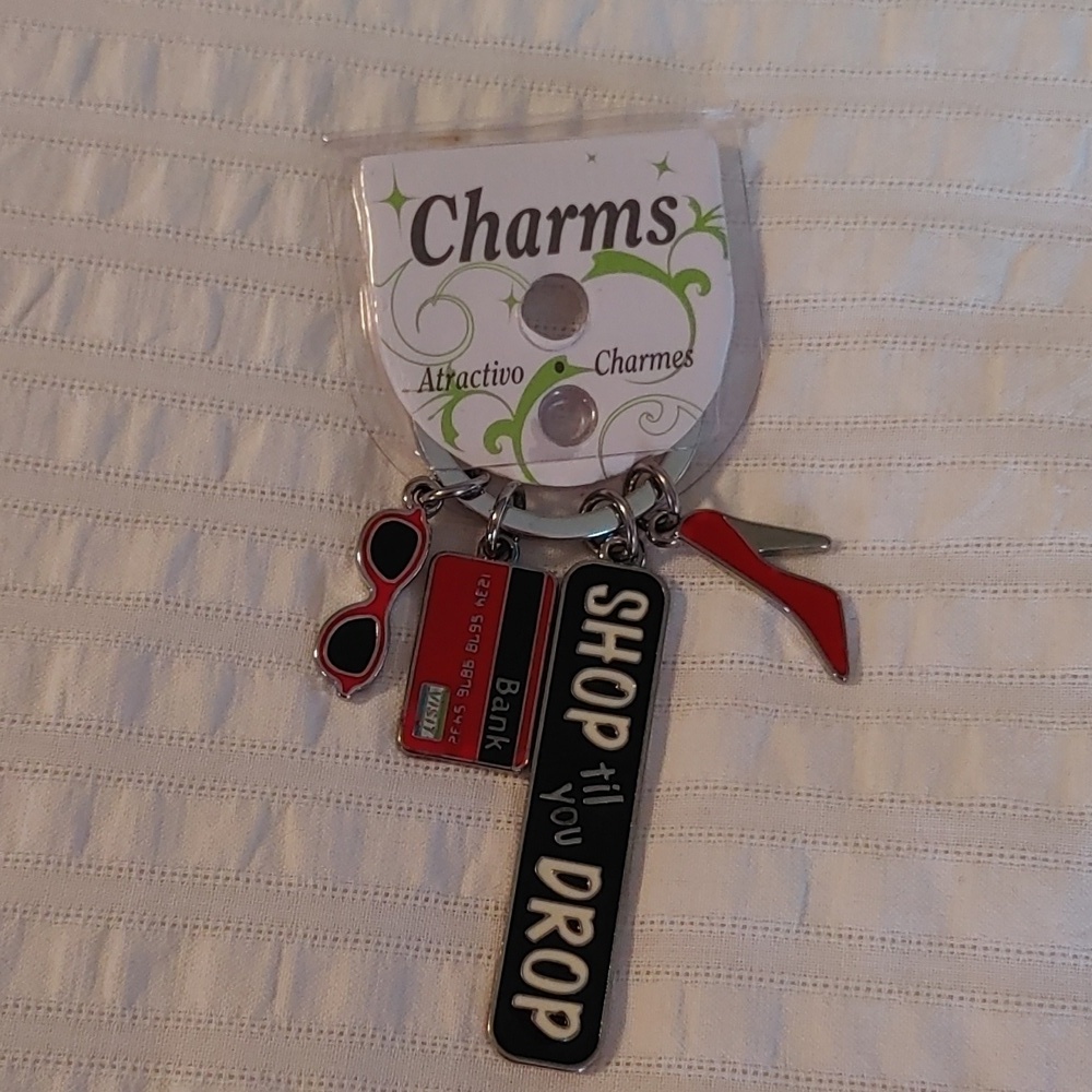 🇨🇦3 For $20🇨🇦NWT BAG CHARM/ KEYCHAIN
